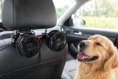 Ventilador de Coche para Mascotas